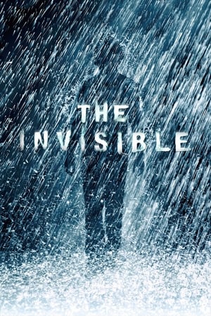 The Invisible 2007 Hindi Dual Audio Movie | Hindi Dubbed Movie BRRip - 850MB